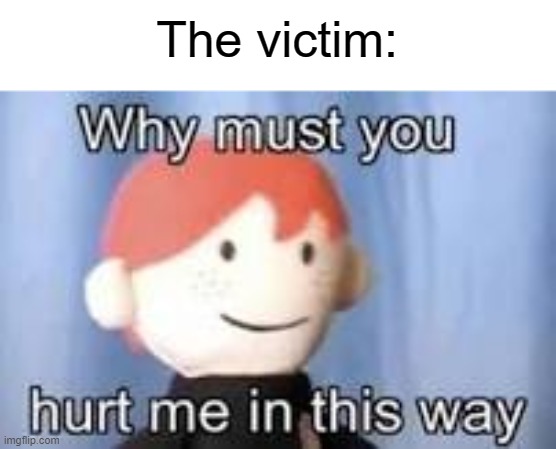 Why must you hurt me in this way | The victim: | image tagged in why must you hurt me in this way | made w/ Imgflip meme maker