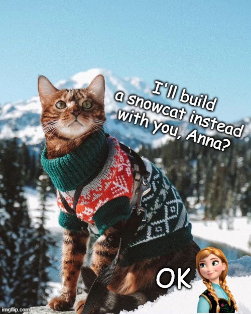 Build a snowcat | I'll build a snowcat instead with you, Anna? OK | image tagged in anna,frozen,cat,do you wanna build a snowman | made w/ Imgflip meme maker