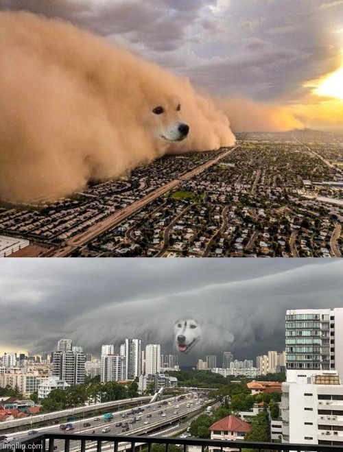 dust storm 2 panels | image tagged in dust storm 2 panels | made w/ Imgflip meme maker