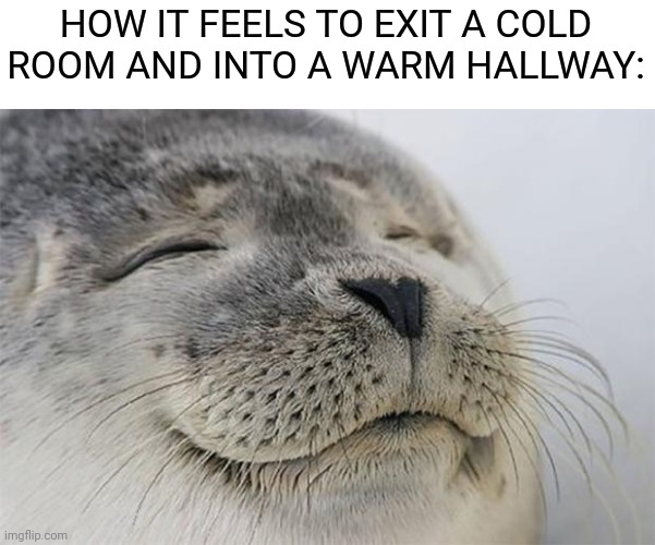 Meme | HOW IT FEELS TO EXIT A COLD ROOM AND INTO A WARM HALLWAY: | image tagged in memes,satisfied seal | made w/ Imgflip meme maker