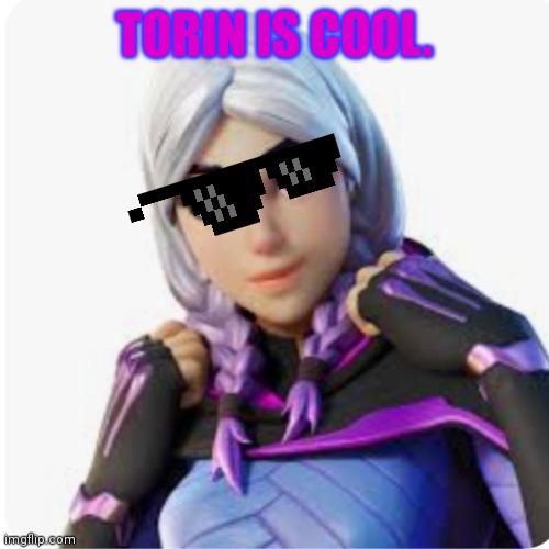 Torin is cool. | TORIN IS COOL. | image tagged in fortnite,fortniteskin | made w/ Imgflip meme maker