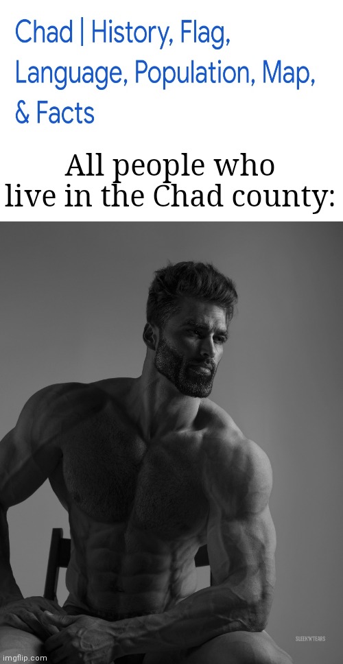 Actually, everyone who saw this meme is a Chad! | All people who live in the Chad county: | image tagged in giga chad,memes,chad,country,w,funny | made w/ Imgflip meme maker