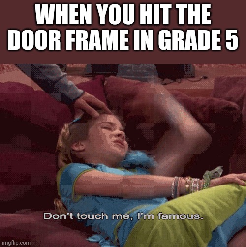 We all know this feeling. right? | WHEN YOU HIT THE DOOR FRAME IN GRADE 5 | image tagged in don't touch me i'm famous,popular,funny,memes,funny memes | made w/ Imgflip meme maker