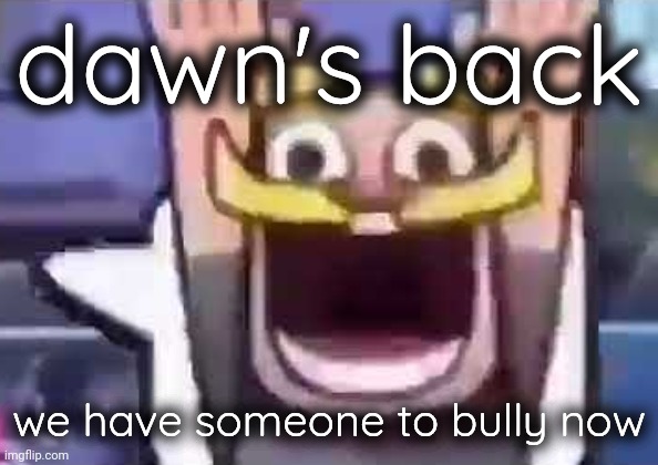 clash royale knight emote | dawn's back; we have someone to bully now | image tagged in clash royale knight emote | made w/ Imgflip meme maker