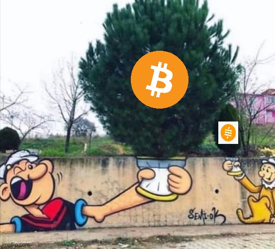 Bitcoin or Slavery | image tagged in bitcoin,sats,btc | made w/ Imgflip meme maker