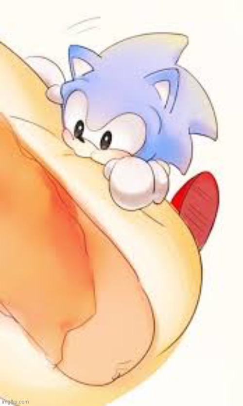 I’m gonna continue posting cute sonic images until i get addicted to another series | image tagged in sonic the hedgehog | made w/ Imgflip meme maker