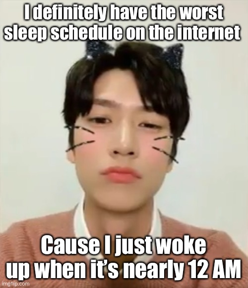 Anyways hi | I definitely have the worst sleep schedule on the internet; Cause I just woke up when it’s nearly 12 AM | image tagged in i m high number 2 | made w/ Imgflip meme maker