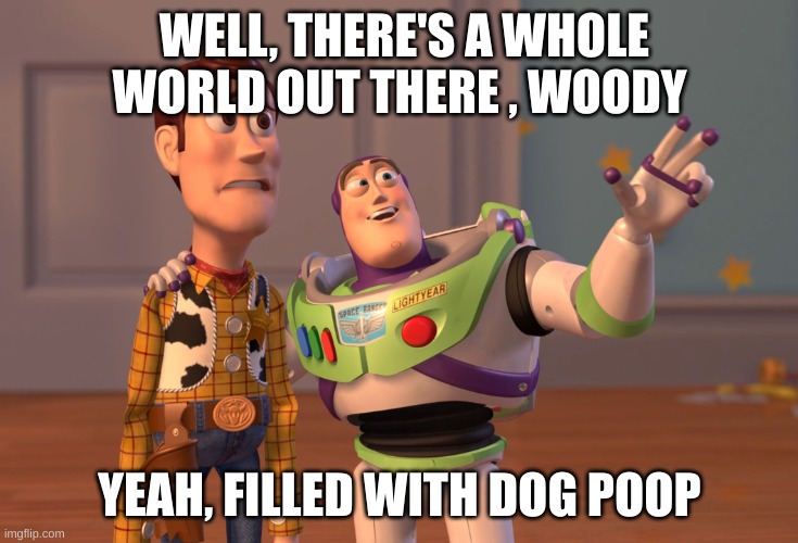 X, X Everywhere | WELL, THERE'S A WHOLE WORLD OUT THERE , WOODY; YEAH, FILLED WITH DOG POOP | image tagged in memes,x x everywhere | made w/ Imgflip meme maker