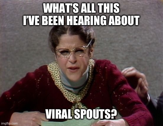 Emily Litella | WHAT’S ALL THIS I’VE BEEN HEARING ABOUT; VIRAL SPOUTS? | image tagged in emily litella | made w/ Imgflip meme maker