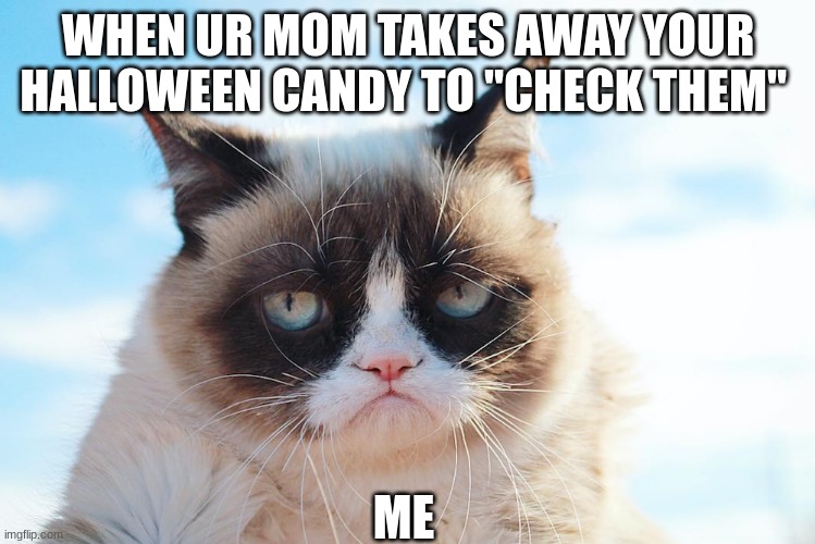 when ur mom takes away your candy | WHEN UR MOM TAKES AWAY YOUR HALLOWEEN CANDY TO "CHECK THEM"; ME | image tagged in funny,grumpy cat | made w/ Imgflip meme maker
