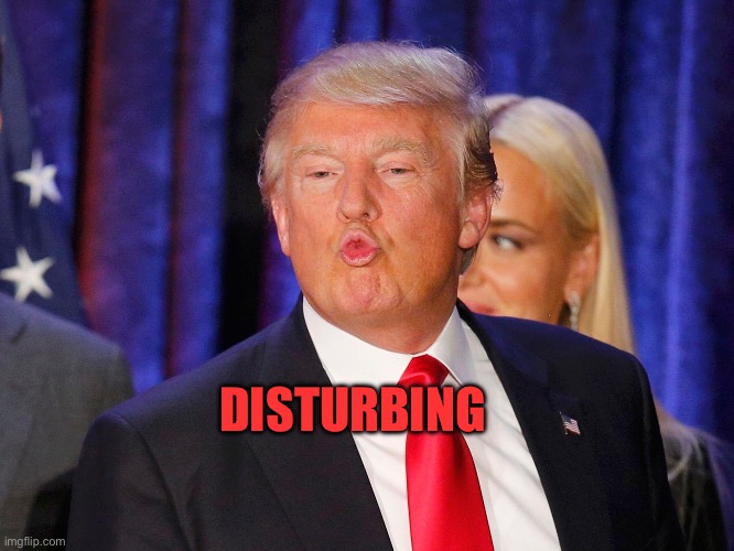 Donald Trump Smooch | DISTURBING | image tagged in donald trump smooch | made w/ Imgflip meme maker