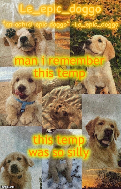 Doggo temp by doggo. Wait what that’s confusing | man i remember this temp; this temp was so silly | image tagged in doggo temp by doggo wait what that s confusing | made w/ Imgflip meme maker