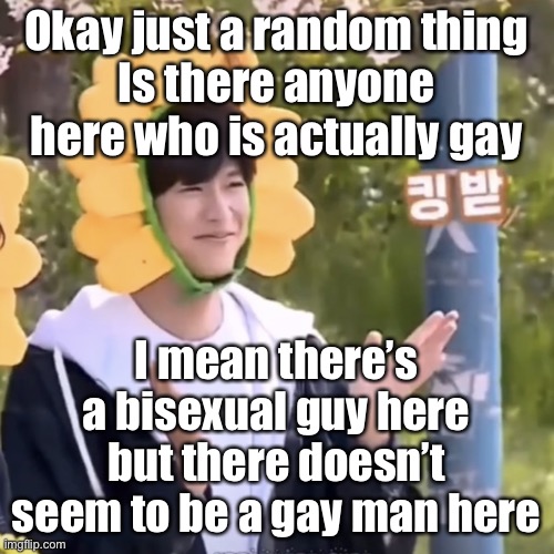 This stream is slightly homophobic sometimes so (and this is simply out of curiosity) | Okay just a random thing
Is there anyone here who is actually gay; I mean there’s a bisexual guy here but there doesn’t seem to be a gay man here | made w/ Imgflip meme maker