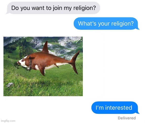 Is it a cow or is it a shark??? | image tagged in whats your religion,wut | made w/ Imgflip meme maker