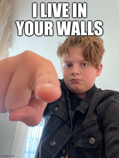 I LIVE IN YOUR WALLS | made w/ Imgflip meme maker