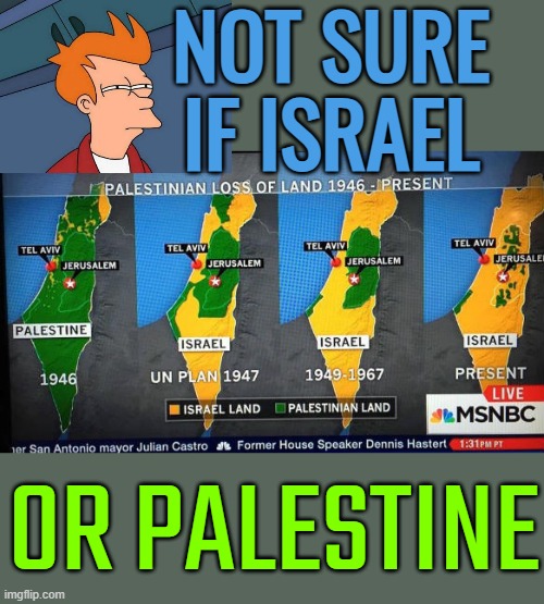 Not sure if Israel or Palestine | NOT SURE IF ISRAEL; OR PALESTINE | image tagged in palestine,islamophobia,islam,radical islam,middle east,anti-religion | made w/ Imgflip meme maker