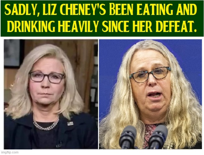 At First, hinting at a presidential run... | image tagged in vince vance,liz cheney,dr rachel levine,transvestite,memes,downfall | made w/ Imgflip meme maker