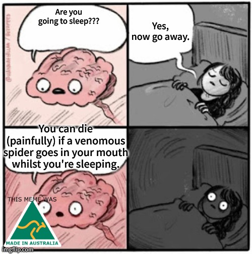 uhm acktshualy im british | Yes, now go away. Are you going to sleep??? You can die (painfully) if a venomous spider goes in your mouth whilst you're sleeping. | image tagged in brain before sleep | made w/ Imgflip meme maker