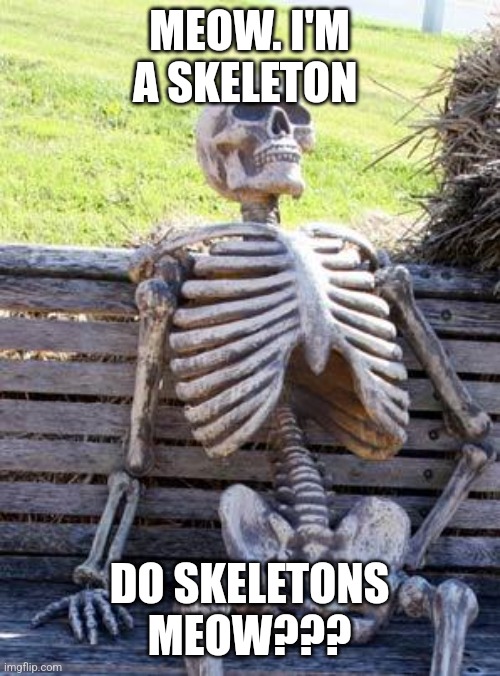 Do skeletons meow??? | MEOW. I'M A SKELETON; DO SKELETONS MEOW??? | image tagged in memes,waiting skeleton,stupid | made w/ Imgflip meme maker