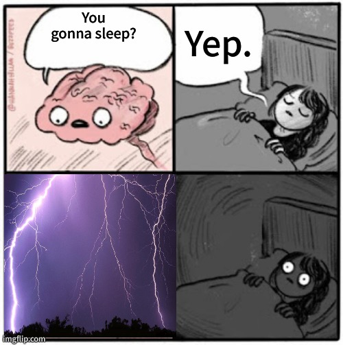 Brain Before Sleep | Yep. You gonna sleep? | image tagged in brain before sleep | made w/ Imgflip meme maker