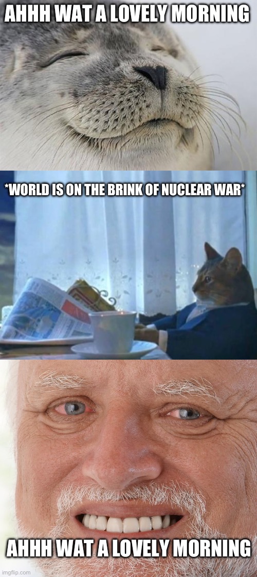 POV: u check the news app | AHHH WAT A LOVELY MORNING; *WORLD IS ON THE BRINK OF NUCLEAR WAR*; AHHH WAT A LOVELY MORNING | image tagged in memes,satisfied seal,cat newspaper,hide the pain harold | made w/ Imgflip meme maker
