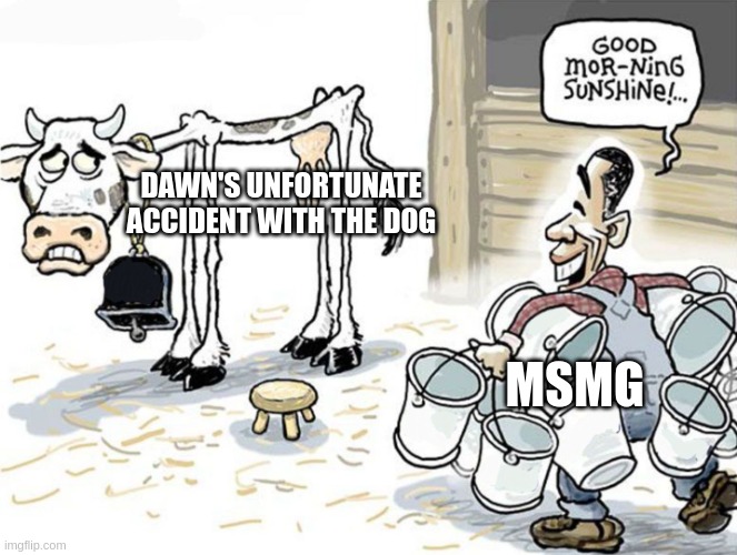 milking the cow | DAWN'S UNFORTUNATE ACCIDENT WITH THE DOG; MSMG | image tagged in milking the cow | made w/ Imgflip meme maker