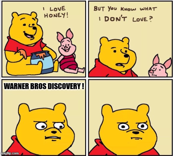 you know what you did | WARNER BROS DISCOVERY ! | image tagged in serious winnie the pooh,wile e coyote,warner bros discovery,warner bros,looney tunes,movie | made w/ Imgflip meme maker