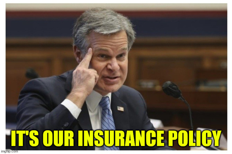 Wray if | IT'S OUR INSURANCE POLICY | image tagged in wray if | made w/ Imgflip meme maker