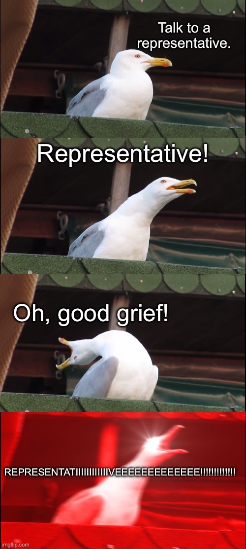 This. Always this. | Talk to a representative. Representative! Oh, good grief! REPRESENTATIIIIIIIIIIIIVEEEEEEEEEEEEE!!!!!!!!!!!!! | image tagged in memes,inhaling seagull | made w/ Imgflip meme maker