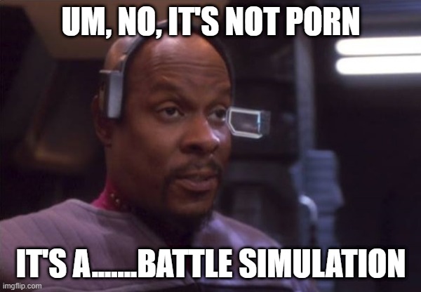 Sisko, Busted | UM, NO, IT'S NOT PORN; IT'S A.......BATTLE SIMULATION | image tagged in sisko vr surprise | made w/ Imgflip meme maker
