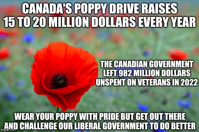 Do You Really Care? | CANADA'S POPPY DRIVE RAISES 15 TO 20 MILLION DOLLARS EVERY YEAR; THE CANADIAN GOVERNMENT LEFT 982 MILLION DOLLARS UNSPENT ON VETERANS IN 2022; WEAR YOUR POPPY WITH PRIDE BUT GET OUT THERE AND CHALLENGE OUR LIBERAL GOVERNMENT TO DO BETTER | image tagged in veterans,poppy drive,canada | made w/ Imgflip meme maker