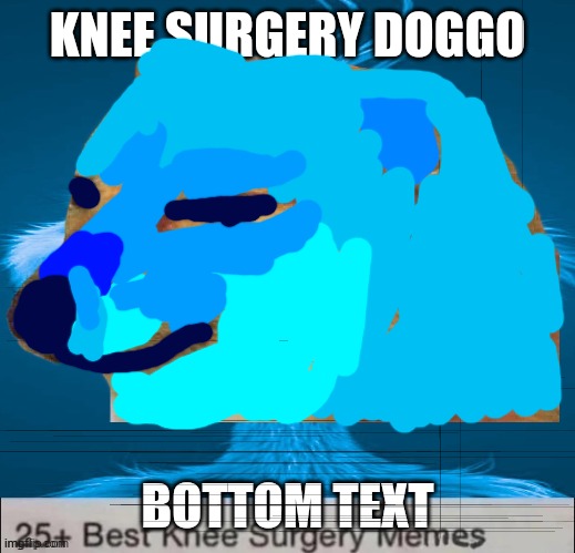 btw, this is my last post here, my future shitposts will be in d-i-n-g-u-s | KNEE SURGERY DOGGO; BOTTOM TEXT | image tagged in blue grinch knee surgery template | made w/ Imgflip meme maker