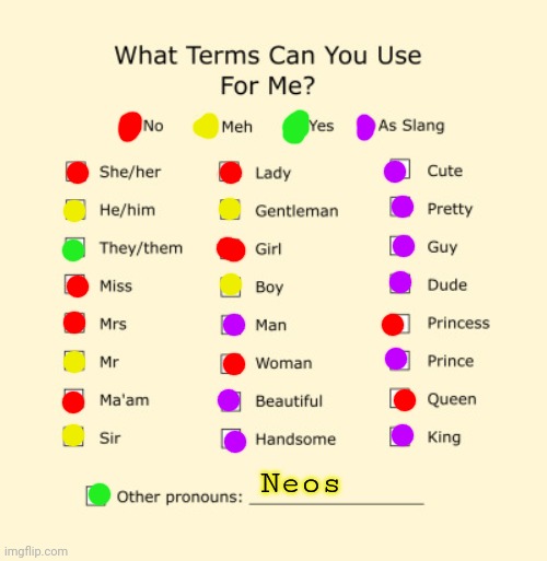 E | Neos | image tagged in pronouns sheet,hi,e | made w/ Imgflip meme maker