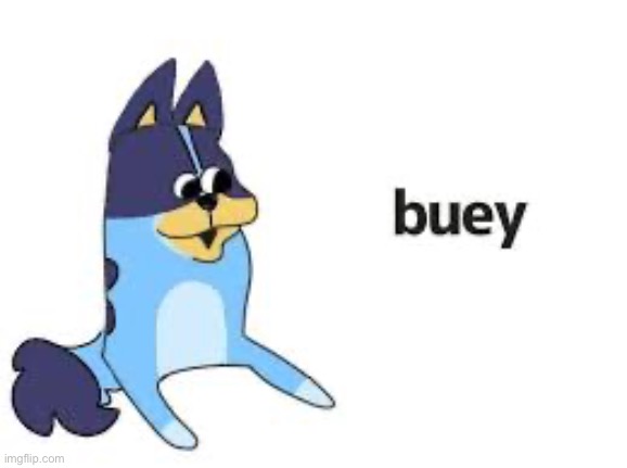 Buey | image tagged in buey | made w/ Imgflip meme maker