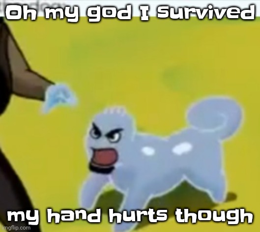 Son of a bitch my hand aches | Oh my god I survived; my hand hurts though | image tagged in the dog | made w/ Imgflip meme maker
