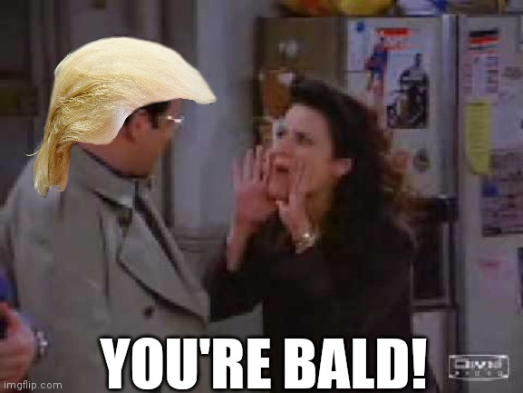 Elaine You're Bald | YOU'RE BALD! | image tagged in elaine you're bald | made w/ Imgflip meme maker