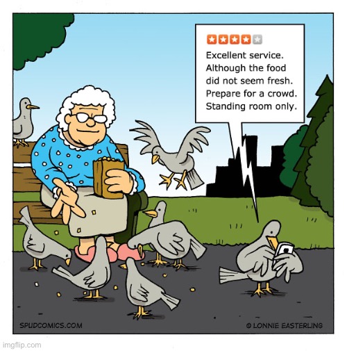 Birds | image tagged in bird feeding,reviews,four star,comics | made w/ Imgflip meme maker