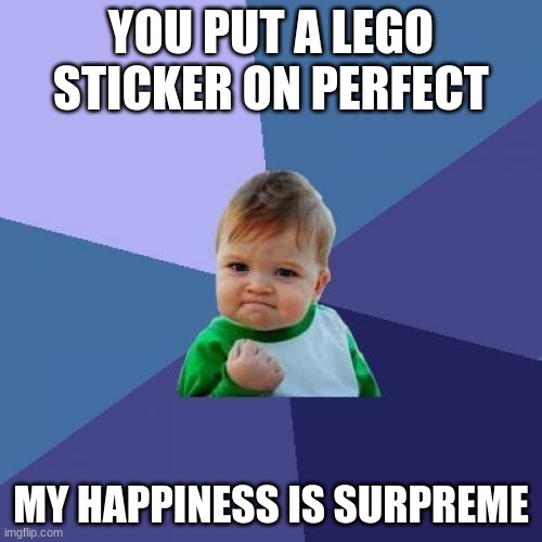 Success Kid | YOU PUT A LEGO STICKER ON PERFECT; MY HAPPINESS IS SURPREME | image tagged in memes,success kid | made w/ Imgflip meme maker