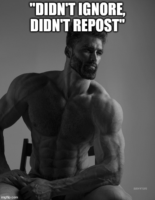 Giga Chad | "DIDN'T IGNORE, DIDN'T REPOST" | image tagged in giga chad | made w/ Imgflip meme maker