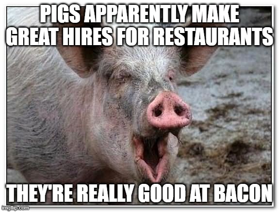 Pig Restaurant | PIGS APPARENTLY MAKE GREAT HIRES FOR RESTAURANTS; THEY'RE REALLY GOOD AT BACON | image tagged in pig | made w/ Imgflip meme maker