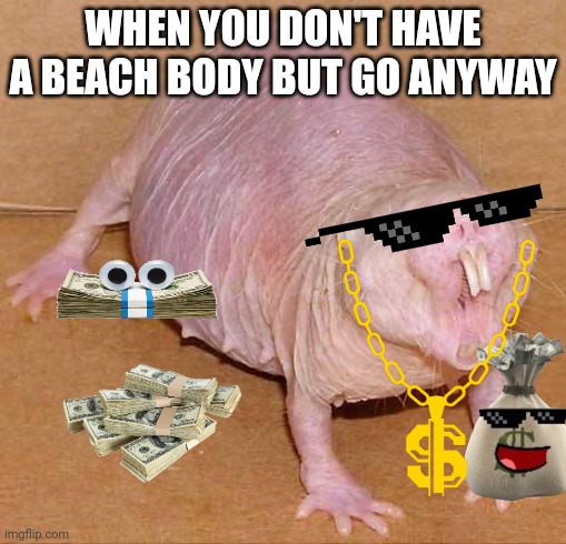 The beach | WHEN YOU DON'T HAVE A BEACH BODY BUT GO ANYWAY | image tagged in naked mole rat | made w/ Imgflip meme maker