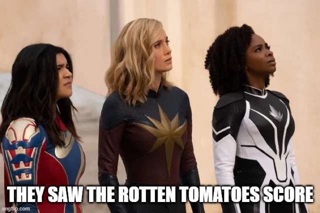 The Marvels isn't That Bad | THEY SAW THE ROTTEN TOMATOES SCORE | image tagged in the marvels | made w/ Imgflip meme maker