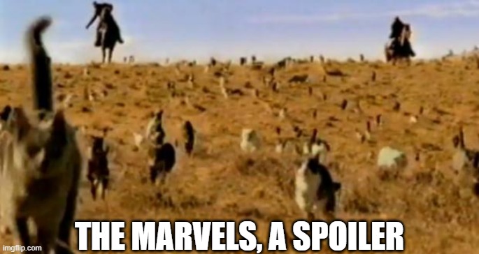 Cat Herding | THE MARVELS, A SPOILER | image tagged in cat herding cats | made w/ Imgflip meme maker