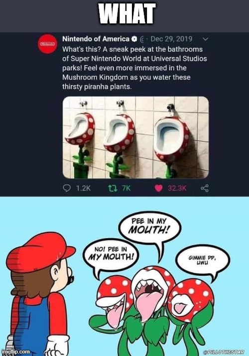 What the | WHAT | image tagged in piranha plant urinals | made w/ Imgflip meme maker