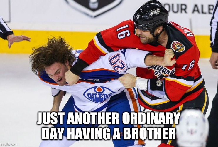 hockey fight | JUST ANOTHER ORDINARY DAY HAVING A BROTHER | image tagged in hockey fight | made w/ Imgflip meme maker