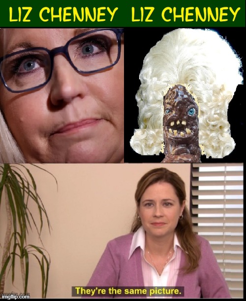 Truthfully, LIz was younger in the pic on the right | image tagged in vince vance,liz cheney,corrupt,rino,daddy's girl,failure | made w/ Imgflip meme maker