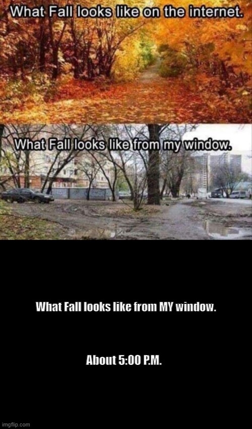 Fall @ 5pm | What Fall looks like from MY window. About 5:00 P.M. | image tagged in fall,autumn,darkness,fall back,winter sucks | made w/ Imgflip meme maker