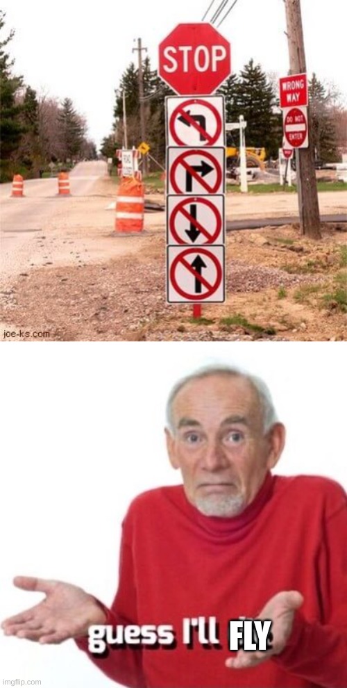 what other choice do I have | FLY | image tagged in guess i'll die,funny road signs | made w/ Imgflip meme maker