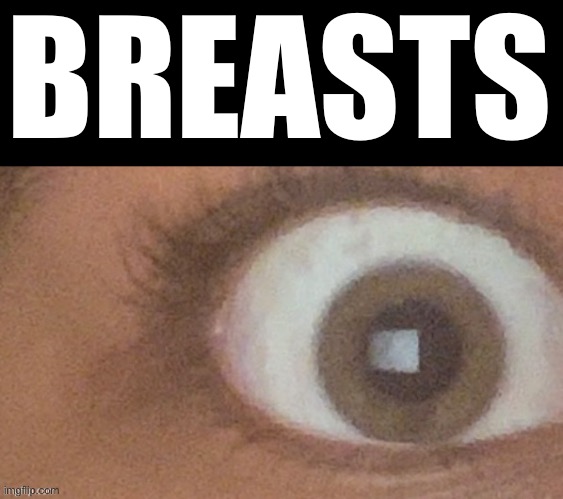 BREASTS | made w/ Imgflip meme maker