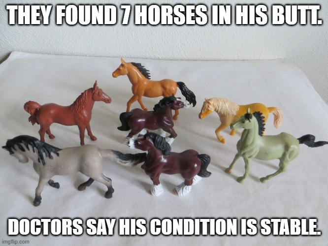 meme by Brad doctor found horses up butt | THEY FOUND 7 HORSES IN HIS BUTT. DOCTORS SAY HIS CONDITION IS STABLE. | image tagged in humor | made w/ Imgflip meme maker